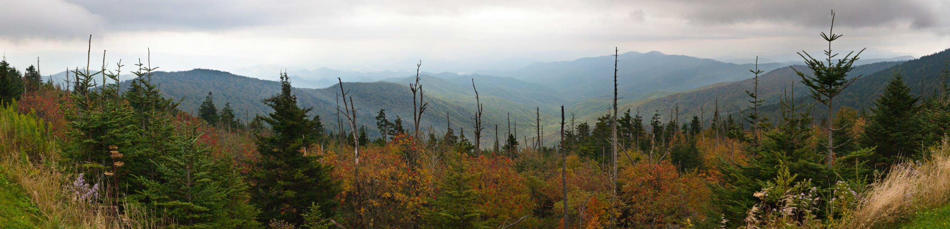 View, the Blue Ridge